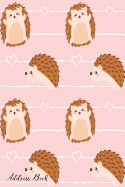 Address Book: For Contacts, Addresses, Phone, Email, Note, Emergency Contacts, Alphabetical Index With Pattern Cute Hedgehog