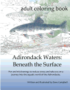 Adirondack Waters: Beneath the Surface