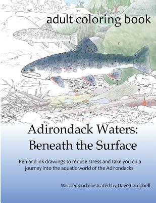 Adirondack Waters: Beneath the Surface - Campbell, Dave