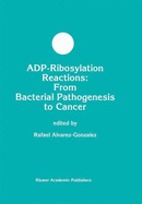 ADP-Ribosylation Reactions: From Bacterial Pathogenesis to Cancer