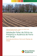 Adubao Foliar de Silcio na Presena e Ausncia de Ferro em Sorgo