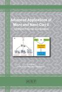 Advanced Applications of Micro and Nano Clay II: Synthetic Polymer Composites