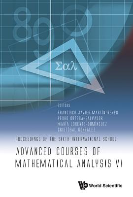 Advanced Courses of Mathematical Analysis VI - Francisco Javier Martin-Reyes, Pedro Ort