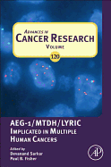 Advances in Cancer Research: AEG-1/MTDH/Lyric Implicated in Multiple Human Cancers