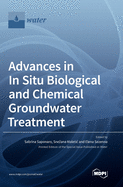 Advances in In Situ Biological and Chemical Groundwater Treatment