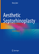 Aesthetic Septorhinoplasty