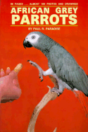 African Grey Parrots(oop)