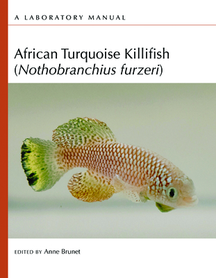 African Turquoise Killifish (Nothobranchius Furzeri): A Laboratory Manual - Brunet, Anne (Editor)