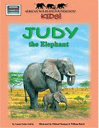 African Wildlife Foundation Kids!: Judy the Elephant