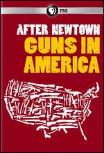 After Newtown: Guns in America - 
