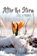 After the Storm: Still a Promise