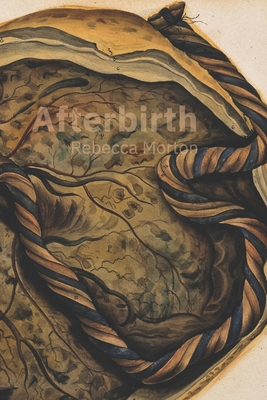 Afterbirth - Morton, Rebecca