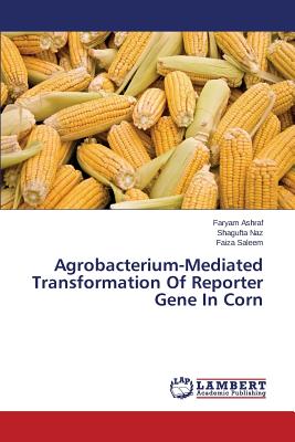 Agrobacterium-Mediated Transformation of Reporter Gene in Corn - Ashraf Faryam, and Naz Shagufta, and Saleem Faiza