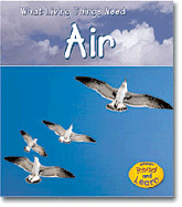 Air