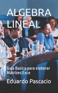 Algebra Lineal: Guia Basica para elaborar Matrizes Exce