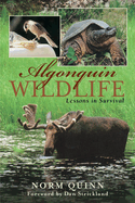 Algonquin Wildlife: Lessons in Survival