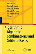Algorithmic Algebraic Combinatorics and Grbner Bases
