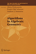 Algorithms in Algebraic Geometry - Dickenstein, Alicia (Editor), and Schreyer, Frank-Olaf (Editor), and Sommese, Andrew J (Editor)