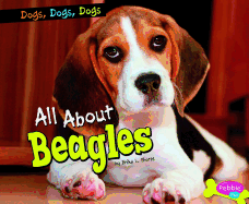 All about Beagles