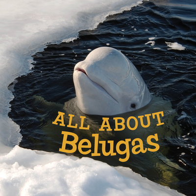 All about Belugas: English Edition - Hoffman, Jordan