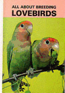 All about breeding lovebirds