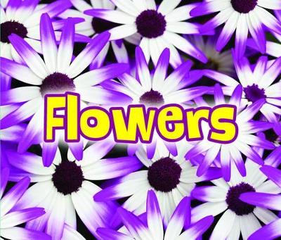 All About Flowers - Throp, Claire