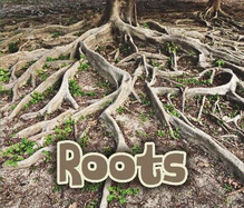 All About Roots