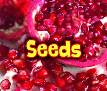 All About Seeds