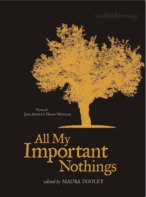 All My Important Nothings - Dooley, Maura