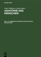 Allgemeine Anatomie, Rucken, Bauch, Becken, Bein