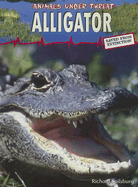 Alligator