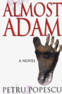 Almost Adam