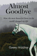 Almost Goodbye: How the Most Beautiful Horse in the World Changed My Life