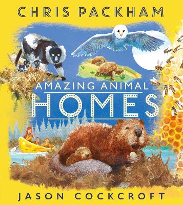 Amazing Animal Homes - Packham, Chris