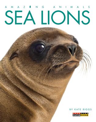 Amazing Animals: Sea Lions - Riggs, Kate