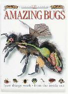 Amazing bugs