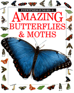 Amazing Butterflies & Moths