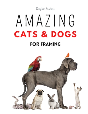 Amazing Cats and Dogs for Framing: Amazing pet photos, funny dogs and cats to frame - Studios, Graphic