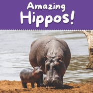 Amazing Hippos!