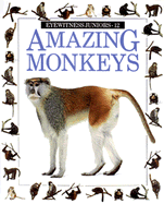 Amazing Monkeys