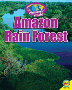 Amazon Rain Forest with Code