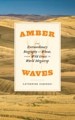 Amber Waves: The Extraordinary Biography of Wheat, from Wild Grass to World Megacrop - Zabinski, Catherine