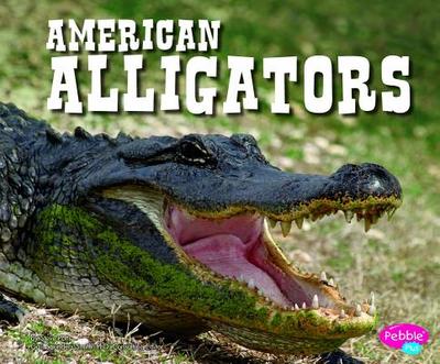 American Alligators - Potts, Steve
