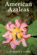 American Azaleas
