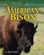 American Bison