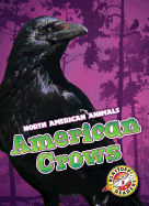 American Crows