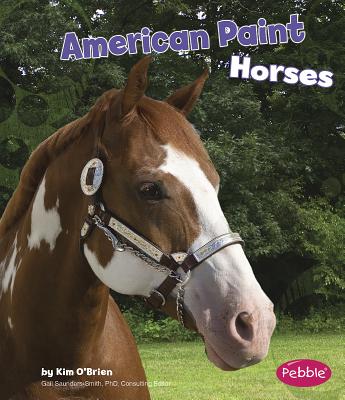 American Paint Horses - O'Brien, Kim