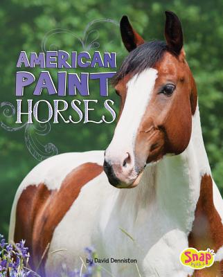American Paint Horses - Denniston, David
