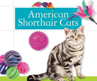 American Shorthair Cats - Furstinger, Nancy