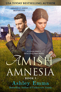Amish Amnesia: Covert Police Detectives Unit Series, book 3